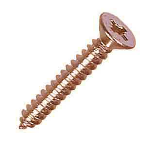 Copper Nickel Self Tapping Screws Manufacturer in India